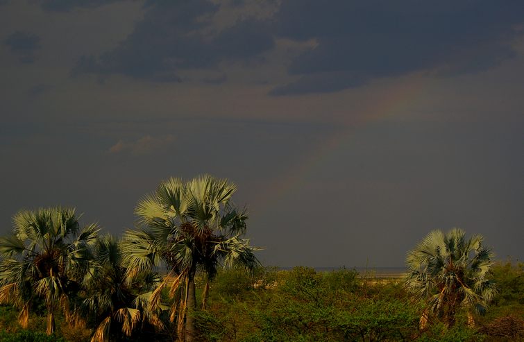 725 Namibia Okt 2006 .JPG